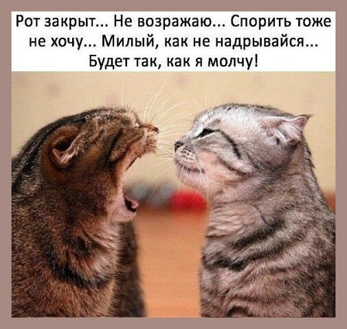 Рот закрыт Не возражаю Спорить тоже не хочу Милый как не надрывайся Будет так как я молчу