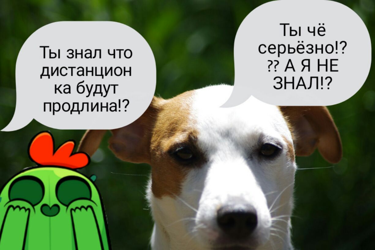 Ты чё Ты знал что серьёзно дистанцион А Я НЕ ка будут 3НАЛ продлина