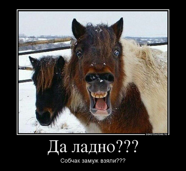 Да ладно Собчак замуж взяли
