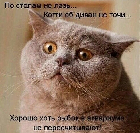 По стопа тв гти об диван не течи