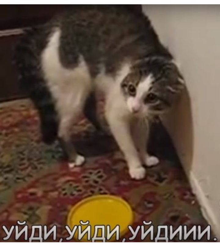 уйди уйди уйдиии