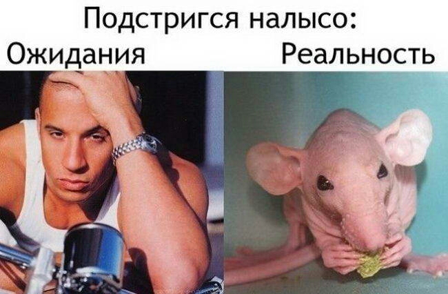 Подстригся налысо Ожидания Реальность