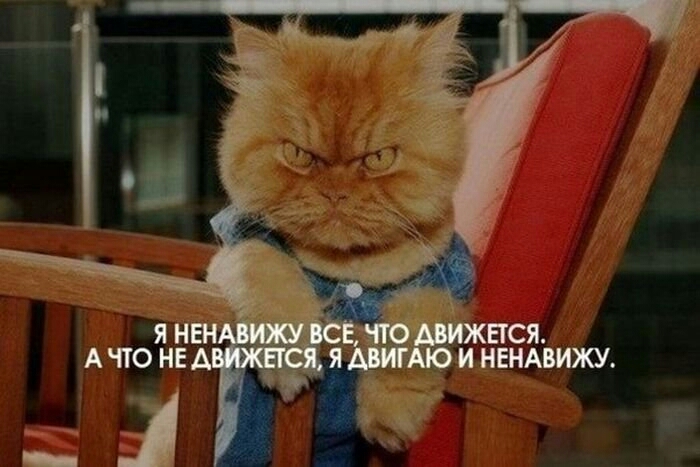 ЕТСЯ ИНЕНАВИЖУ