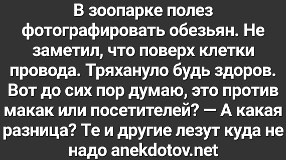 В зоопарке полез фотографировать обезьян Не заметил что поверх клетки провода Тряхануло будь здоров Вот до сих пор думаю это против макак или посетителей А какая разница Те и другие лезут куда не надо апеКсіотоулет