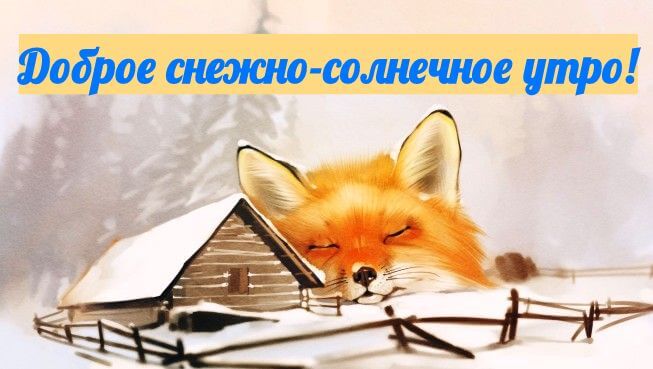 Юоброе ишшо сомитов утро