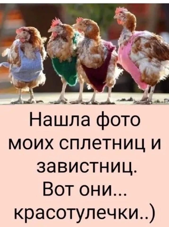 Нашла фото моих сплетниц и завистниц Вот они красотулечки