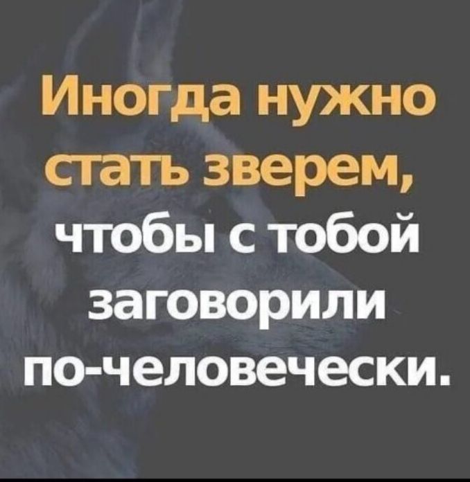 Иногда нужно стать зверем чтобы с тобой заговорили по человечески