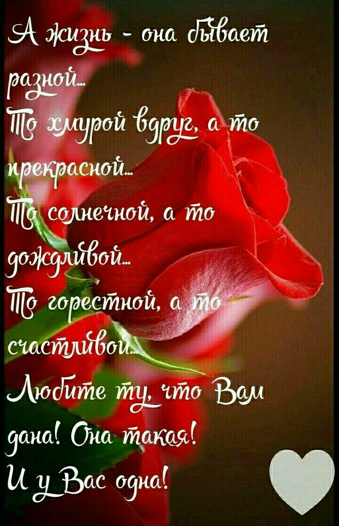 54 337 она дсьет за ТГЁЁрой а то ценой и статей то зощлібош тёмной Ат710 Зака Она татя и а_ЭЪас сана