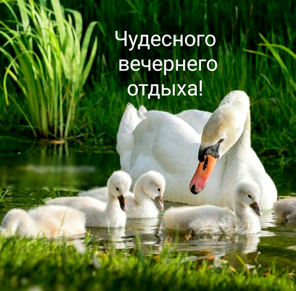 и Чудесного вечернего отдыха