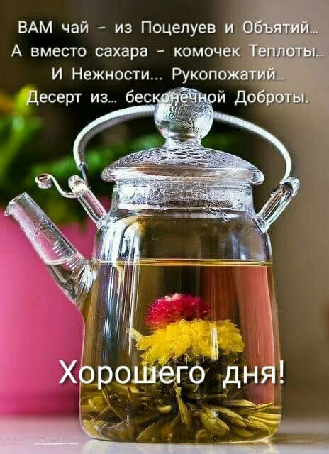 ВАМ чай из Поцепуев и гадит А вместо сахара комоче шыш И Нежности Рукопож геев рт из бес