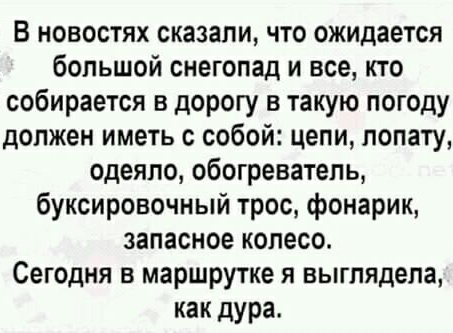 В новостях сказали что ожидается большой снегопад и все кто собирается в дорогу в такую погоду должен иметь с собой цепи лопату одеяло обогреватель буксировочный трос фонарик запасное колесо Сегодня в маршрутке я выглядела как дура