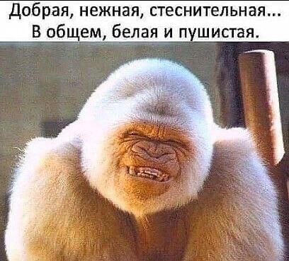 обрая нежная стеснительная В 6 б ая И П ШИСТЕЯ