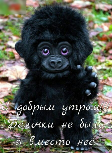 мочки не бы место еЁЭЁ со боым Ёшаа