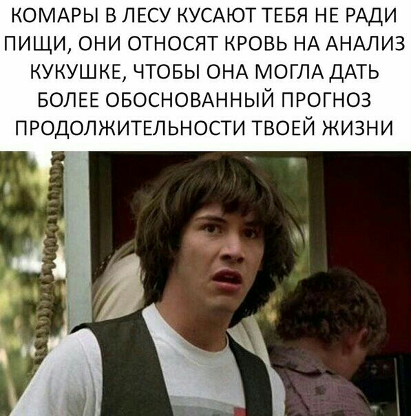 КОМАРЫ В ЛЕСУ КУСАЮТ ТЕБЯ НЕ РАДИ ПИЩИ ОНИ ОТНОСЯТ КРОВЬ НА АНАЛИЗ КУКУШКЕ ЧТОБЫ ОНА МОГЛА ДАТЬ БОЛЕЕ ОБОСНОВАННЫЙ ПРОГНОЗ ПРОДОЛЖИТЕЛЬНОСТИ ТВОЕЙ ЖИЗНИ