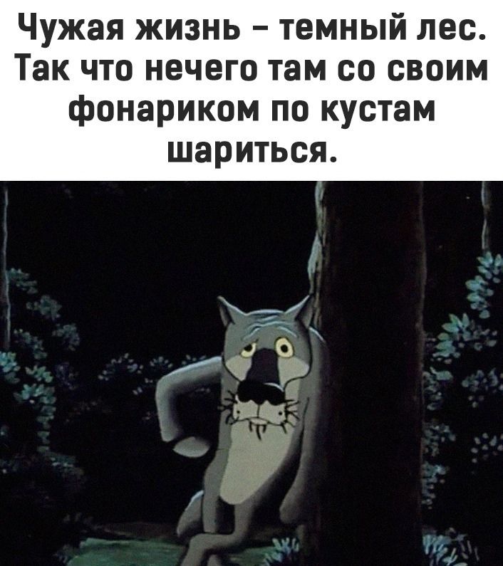 Чужая жизнь темный лес Так что нечего там со своим фонариком ПО кустам ШЭРИТЬСЯ
