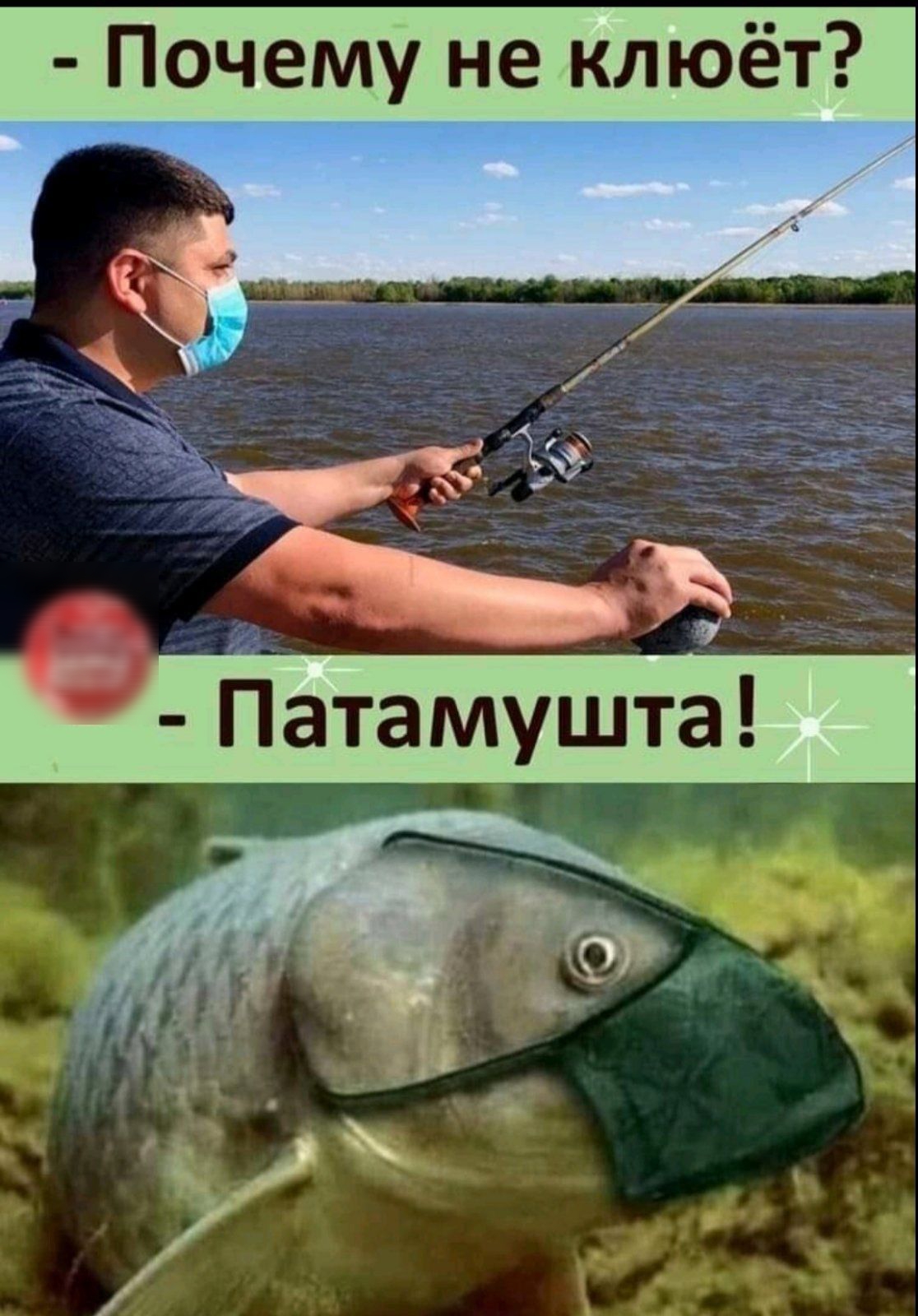 Почему не клюёт