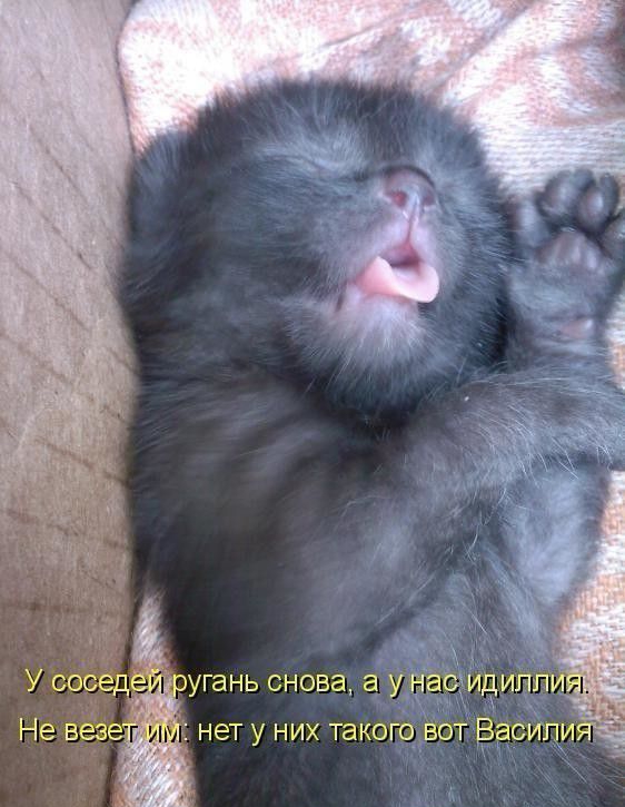 У се п доугань снова а унаодидипп