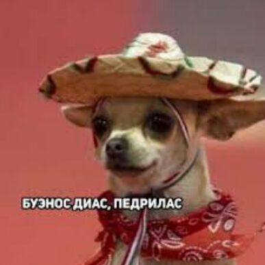 х БУЗОЮС дит ПЕЛРИЛАС