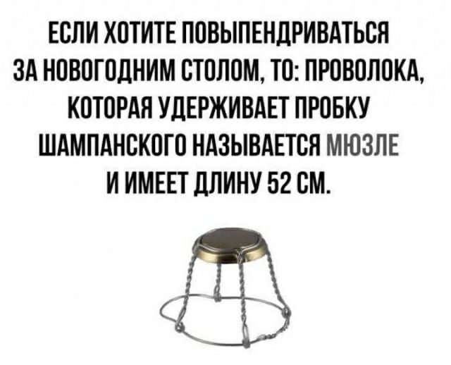 ЕСЛИ ХОТИТЕ ПОВЫПЕНДРИВАТЬОЯ ЗА НОВОГОДНИМ ОТОПОМ ТО ПРОВОЛОКА КОТОРАЯ УДЕРЖИВАЕТ ПРОБКУ ШАМПАНОКОГО НАЗЫВАЕТСЯ МЮЗЛЕ И ИМЕЕТ ДЛИНУ 52 СМ