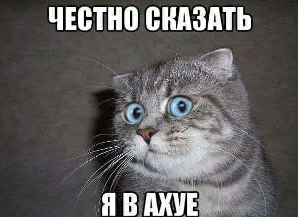 ЧЕБПШ ВШШПЬ