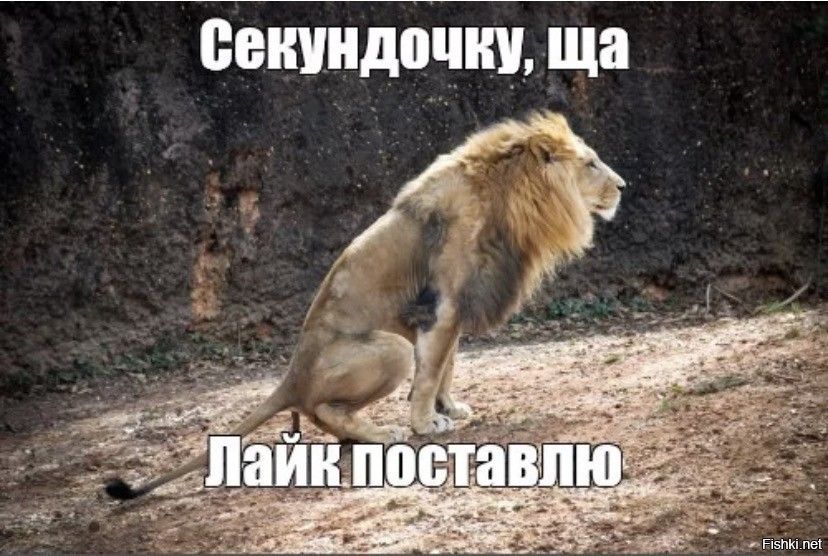 ЁВШПДПЧЩ ща
