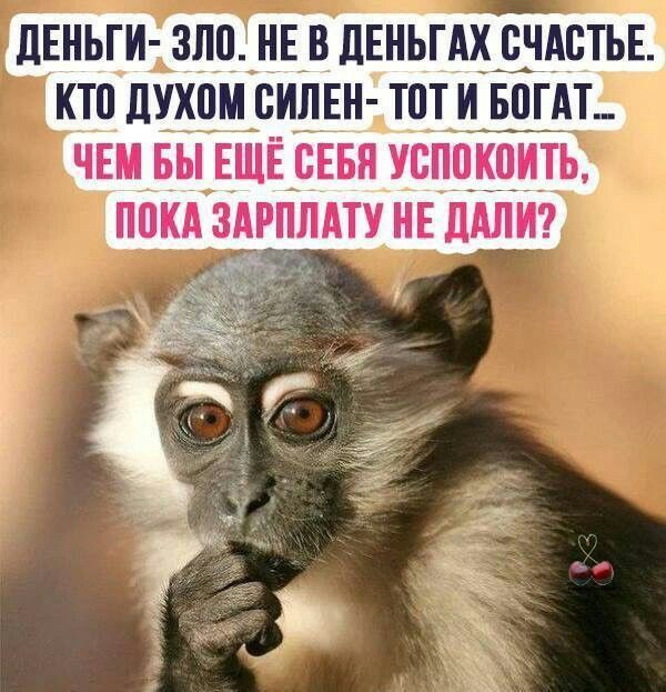 дЕНЬТИ ЗПП НЕ В ЦЕНЬГАХ СЧАСТЬЕ КТП духом БИЛЕН ТТТТ И БПГАТ_ ЧЕМ БЫ ЕЩЁ _ВЕБЯ УБППКПИТЬ ПОКА ЗАТТТПАТУ НЕ ЛАЛИ