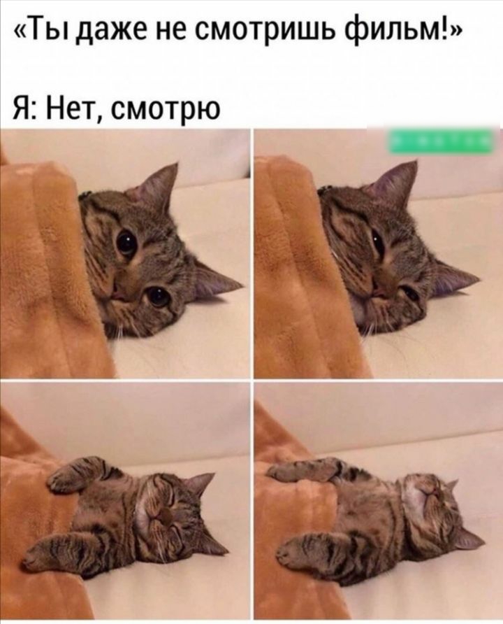 Ты даже не смотришь фильм Я Нет смотрю