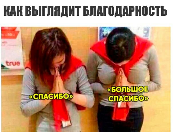 ШШ ВЫШНДИТ БПАЮДАРНВЩЬ