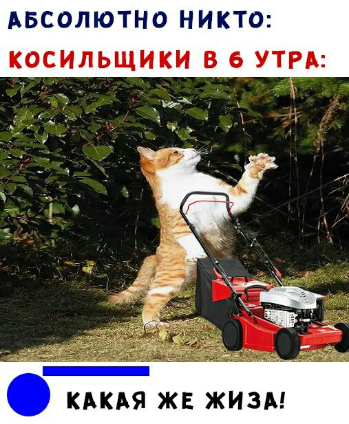 АБСОЛЮТНО НИКТО КОСИЛЬЩИКИ В 6 УТРА _ КАКАЯ ЖЕ ЖИЗА
