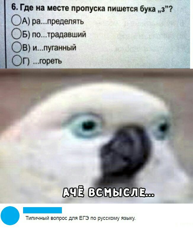 6 Где на месте пропуска пишется букв в ОА рапредепять ОБ потрадавший ОВ ипуганный ОП гореть Типичный вопрос для ЕГЭ по русскому языку