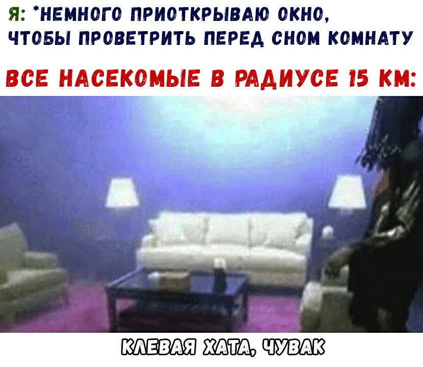 Я НЕМНОГО ПРИОТКРЫВАЮ ОКНО ЧТОБЫ ПРОВЕТРИТЬ ПЕРЕД ОНОМ КОМНАТУ ВСЕ НАСЕКОМЫЕ В РААИУСЕ 15 КМ клемях