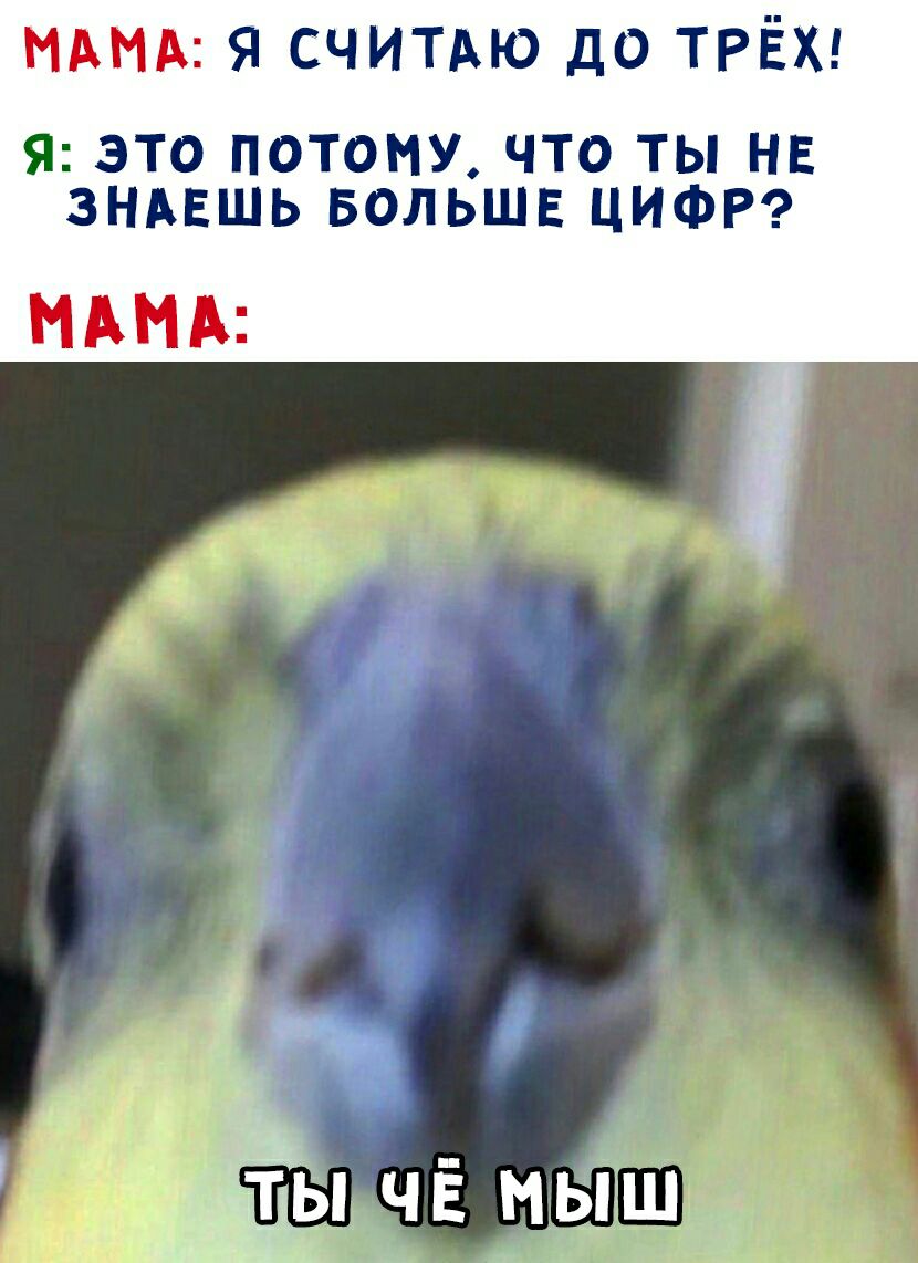 МАМА я считдю до ТРЁХ Я ЭТО ПОТОМУ ЧТО ТЫ НЕ ЗНАЕШЬ БОЛЬШЕ ЦИФР НАНА ты ЧЁ мыш