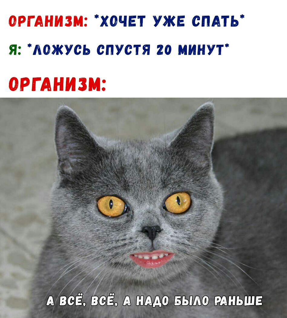 ОРГАНИЗМ ХОЧЕТ УЖЕ СПАТЬ Я АОЖУСЬ СПУСТЯ 20 МИНУТ ОРГАНИЗМ А всЁ БеЁ А иАдо БЫАО рдньшь