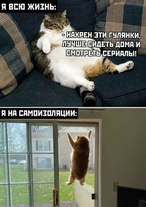 П ВПШ ЖИЗНЬ