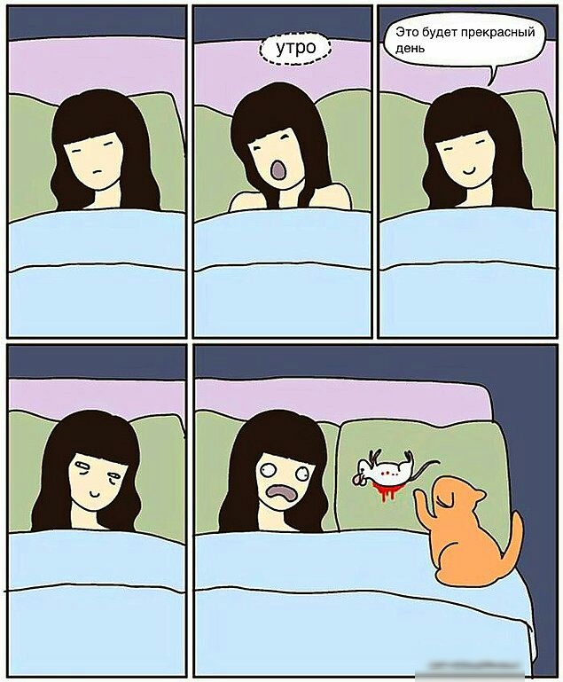 щпи