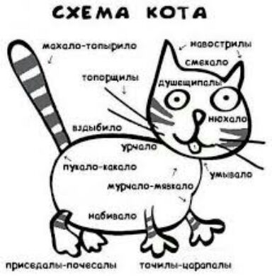 СХЕ МА КОТА пристатчписсвпи шчлмцьрвмм