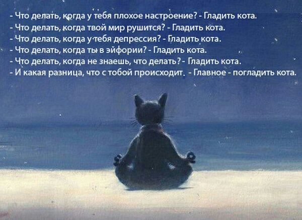 Что делать кагда утебя плохое настроение Гладить кота Чго депатькогда твой мир рушится Гладить Кота Что делать когда утебя депрессия Гладигь_кота Что делать когда ты в эйфории Гладить котат Чаго делать когда не знаешь что депать7 Гладить кота И какая разница что стобой происходит Главиоё погладить кота
