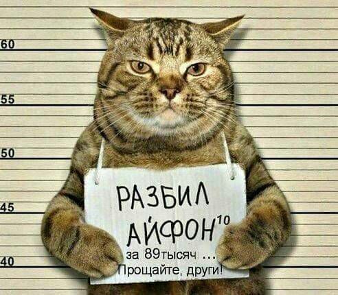 АИФОНР за 89тысяч