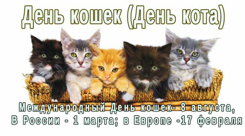 СёШШ іі шаютаз ша ваш щрашш