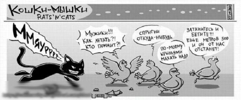 ЁШЪЖЗЖ ш_пгии УЁЁЁЁЮ и и жить очку д нив ъ Е Ёчо Ппинмт А ЁЩК магов зов ну и и нм ишемии чинами ЫЖЗМЁЪЁ