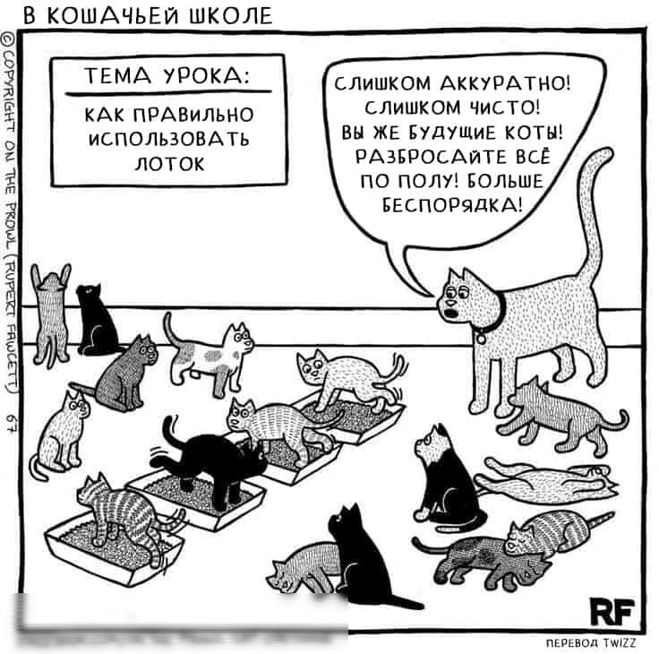 В КОШАЧЬЕЙ ШКОЛЕ ТЕМА УРОК спишком АККУРАТНО КАК прАвмльно слишком чист использовдть вы же БУДУЩИЕ котщ лоток РАЭБРОСАИТЕ все по пот Больше БЕСПОРядкА Юты издав аиь по штжиаоб ЬЭ пьпьвод 12