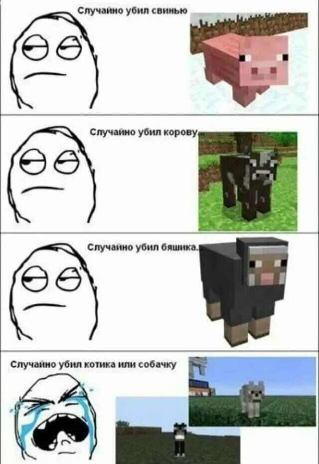 Спучаиио убил свинью __