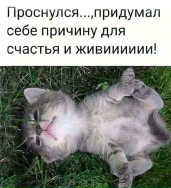 Проснулсяпридумал себе причину для счастья и живииииии