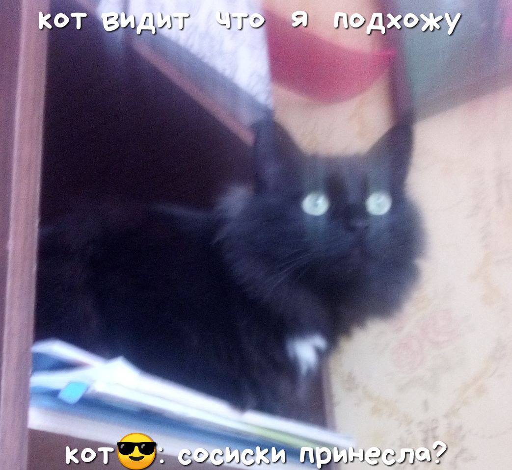 Дігіідіі 3