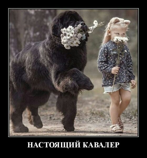 НАСТОЯЩИЙ КАВАЛЕР