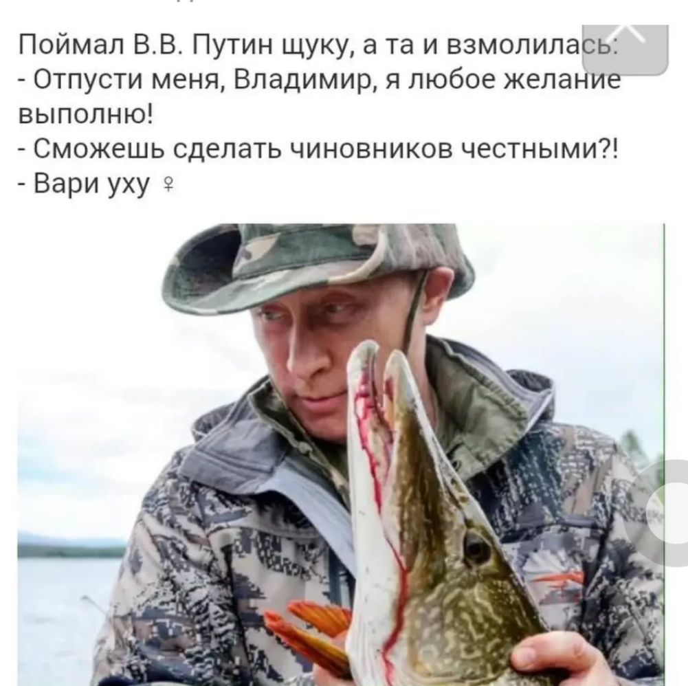 Поймал ВВ Путин щуку а та и взмолилась Отпусти меня Владимир я любое желание выполню Сможешь сделать чиновников честными Вари уху 9