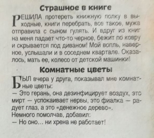 Страшное в книге ЕШИЛА протереть книжную пилуу ш ходные книги перебрать на такое мужа отправила сыном гуляш И вдруг из книг на меня падает что то черное бежит по ковру и скрывается под диваном Мои вопль навер ное услышали и в соседнем квартале Оказа лось мать ее колесо от детской малинки Комииные цветы ЫЛ вчера у друга показывал мне комнат ные цветы Это герань она дезинфицирует воздух это мирт усп
