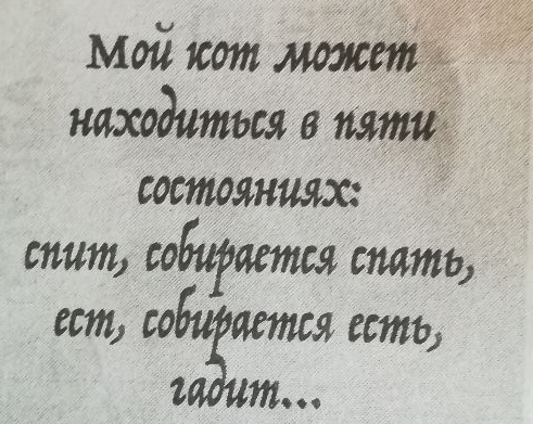 состянилх спит сойфяешя спать ест Я есть 2 т