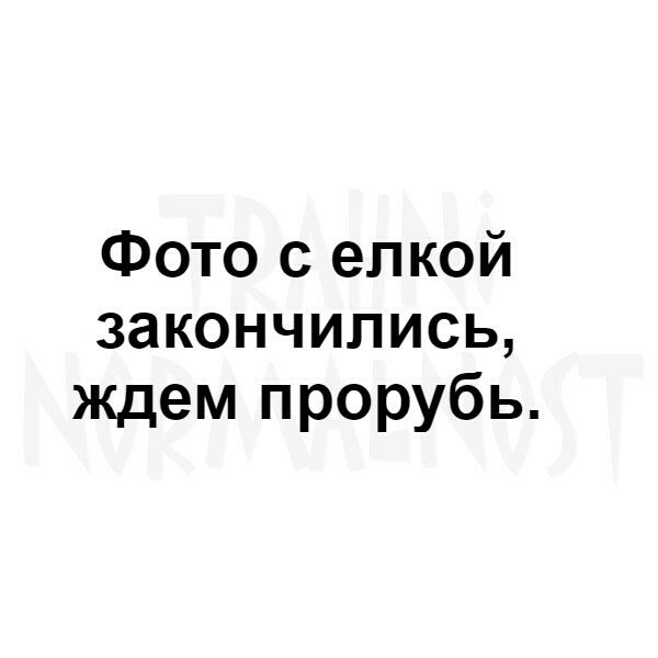 Фото с елкой закончились ждем прорубь