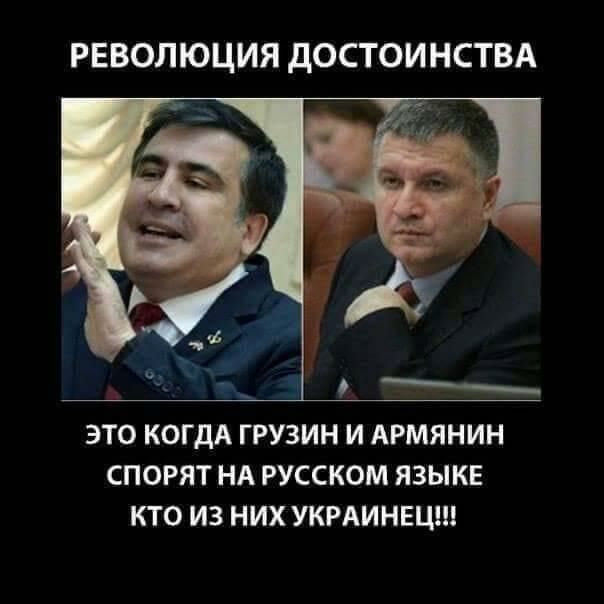 РЕВОЛЮЦИЯ ДОСТОИНСТВА ЭТО КОГДА ГРУЗИН И АРМЯНИН СПОРЯТ НА РУССКОМ ЯЗЫКЕ КТО ИЗ НИХ УКРАИНЕЦ